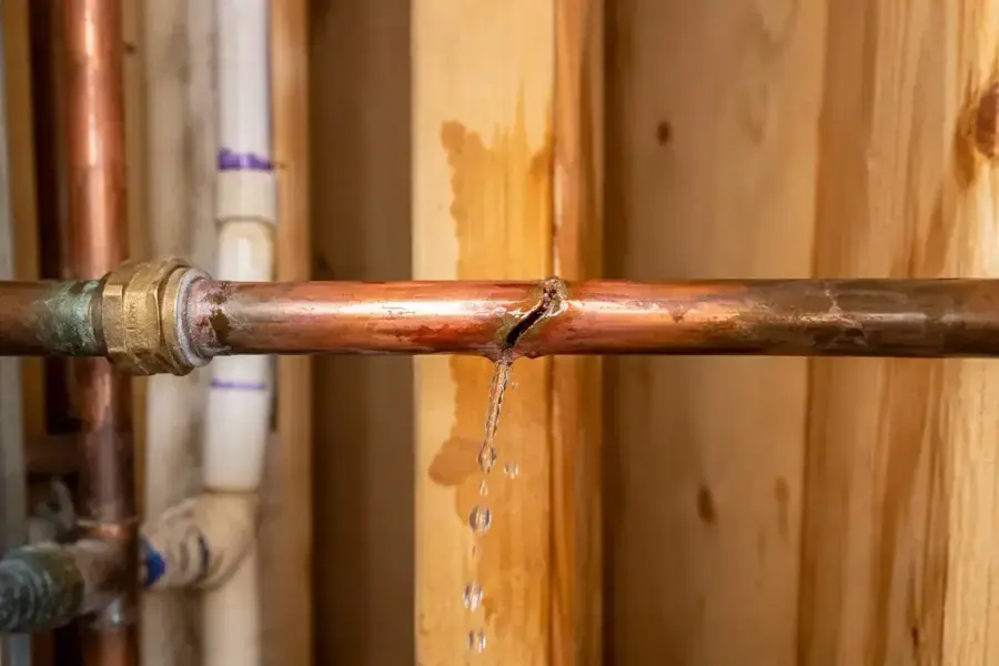 Split copper supply pipe dripping inside an open wall in Brooksville